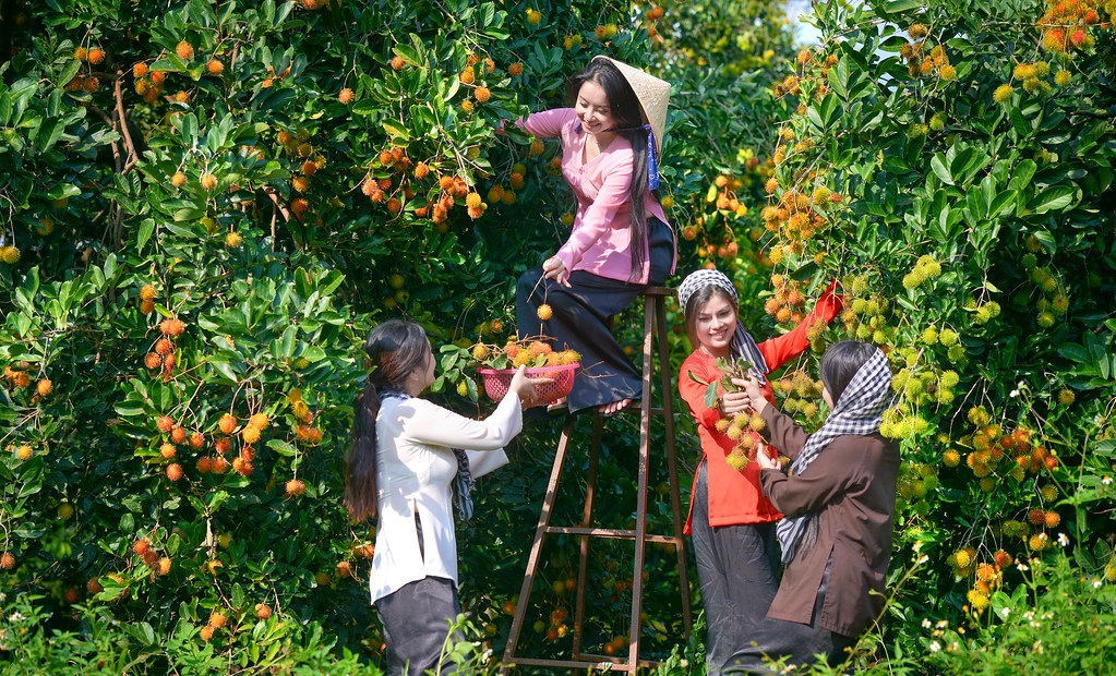 Hội thảo FJCAI 2026 3